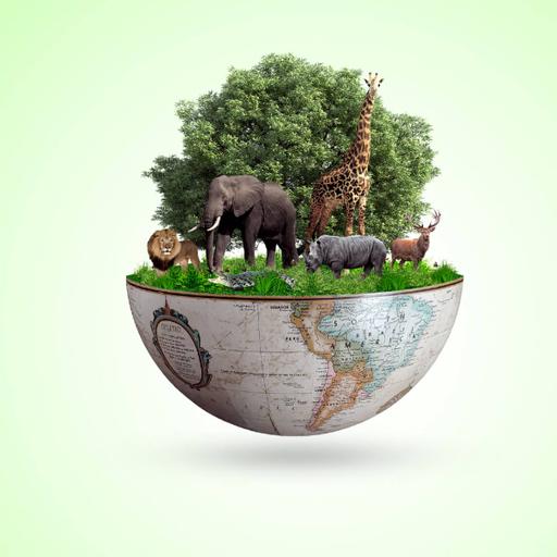 Picture of the product