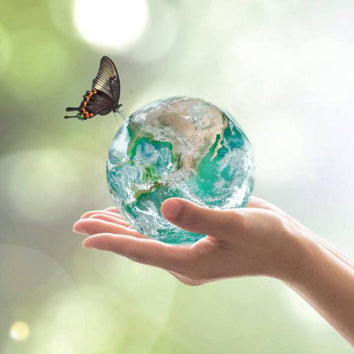 Picture of the product