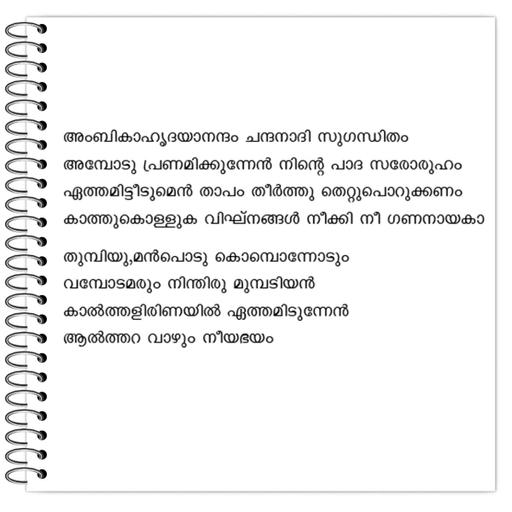 Picture of the product