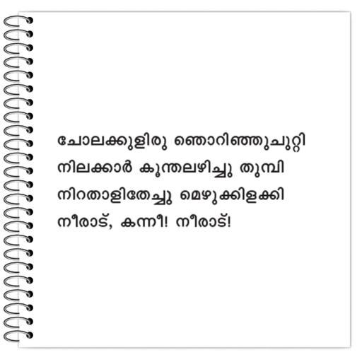 Picture of the product