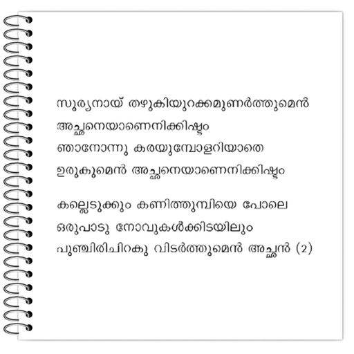 Picture of the product