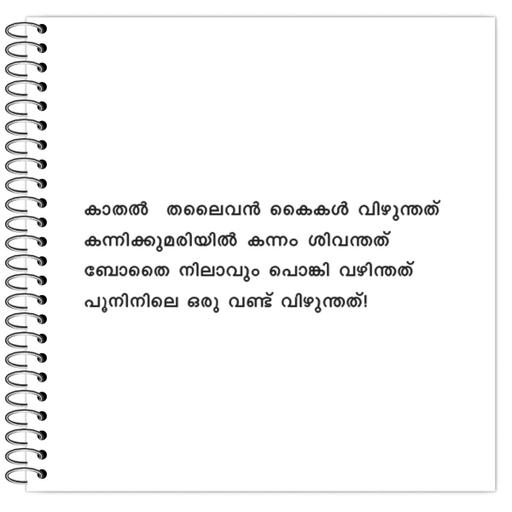 Picture of the product