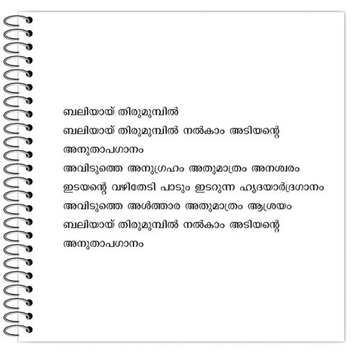 Picture of the product