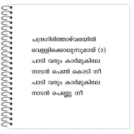 Picture of the product