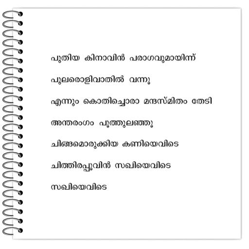 Picture of the product