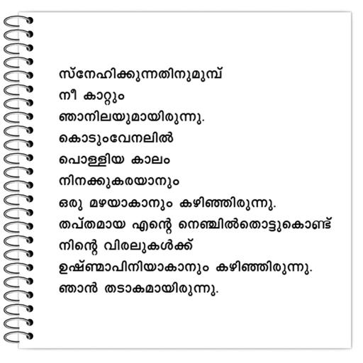 Picture of the product