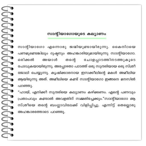 Picture of the product