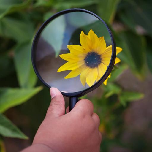 Picture of the product