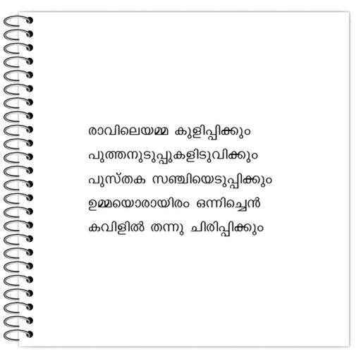 Picture of the product