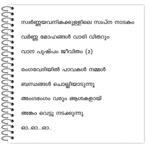 Picture of the product