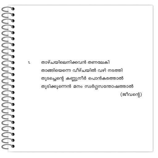 Picture of the product