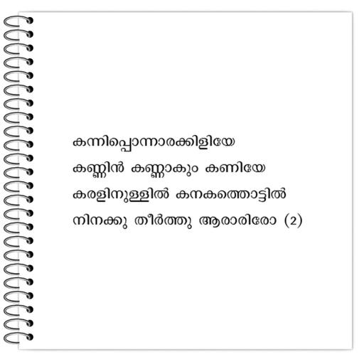 Picture of the product