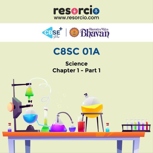 Picture of the product