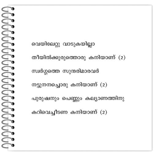 Picture of the product