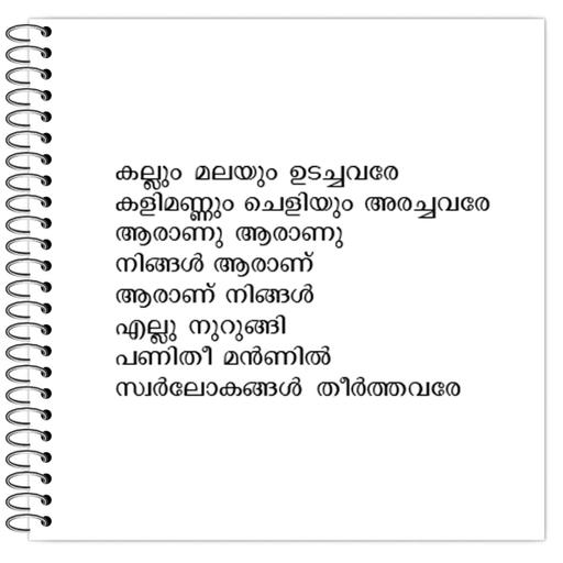 Picture of the product