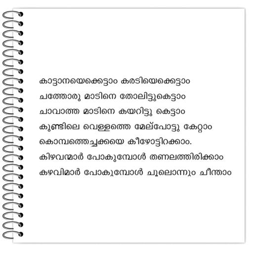 Picture of the product