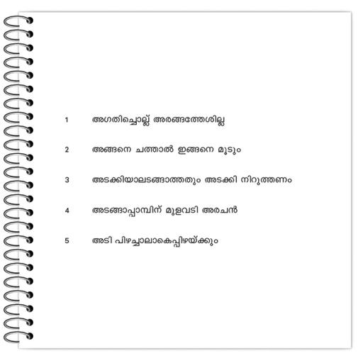 Picture of the product