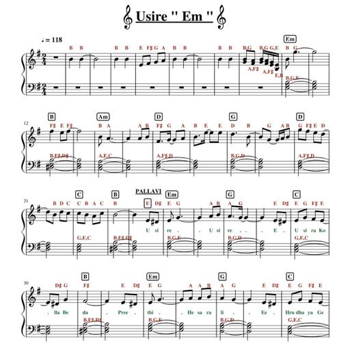 Picture of the product