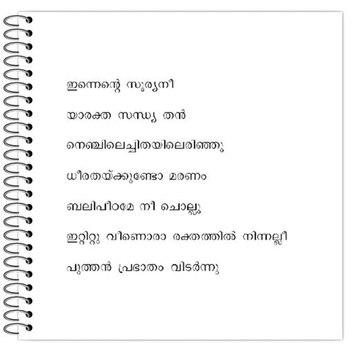 Picture of the product