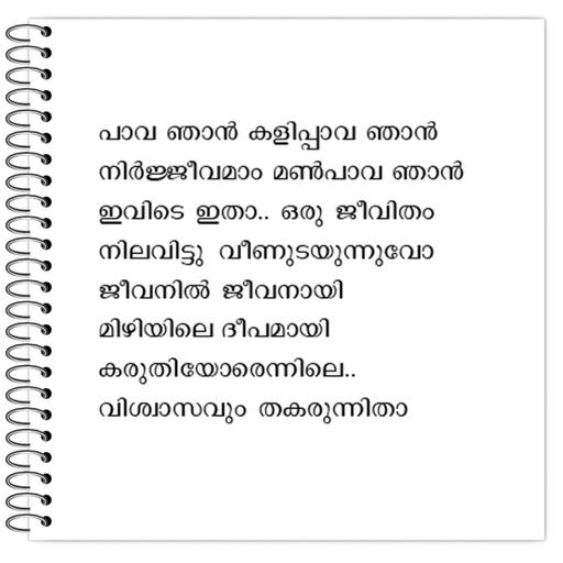 Picture of the product