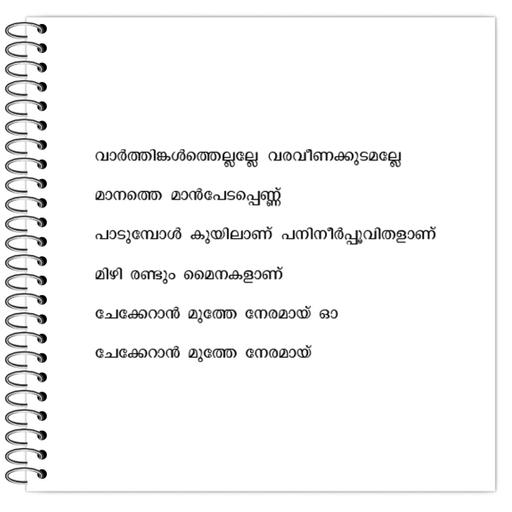 Picture of the product