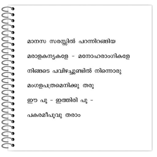 Picture of the product