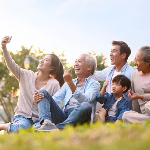 Picture of the product