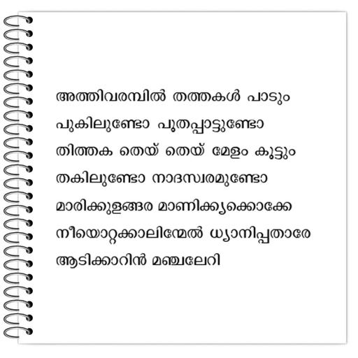 Picture of the product