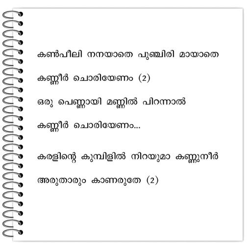 Picture of the product