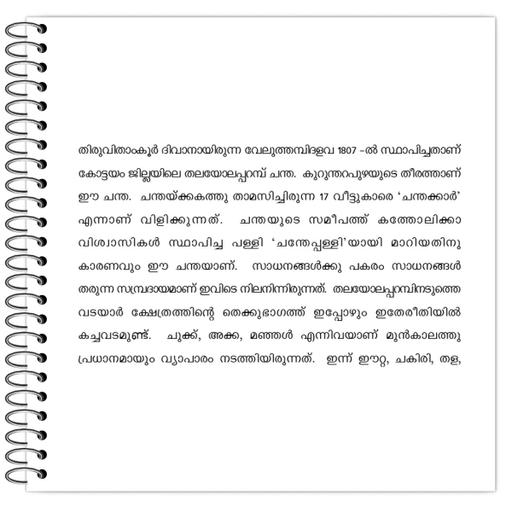 Picture of the product