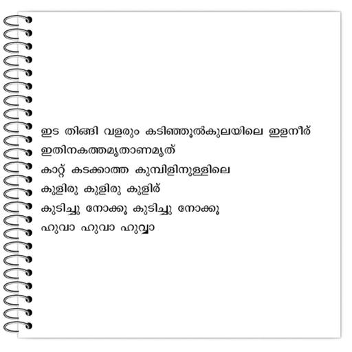 Picture of the product