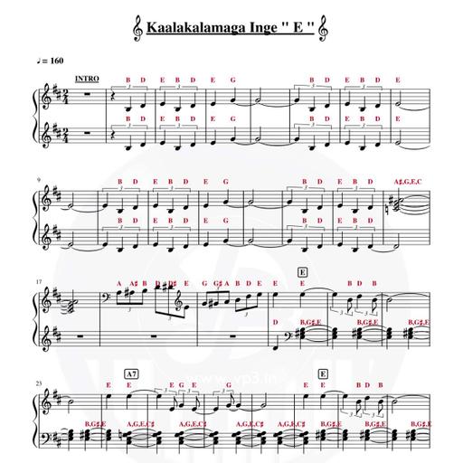 Picture of the product