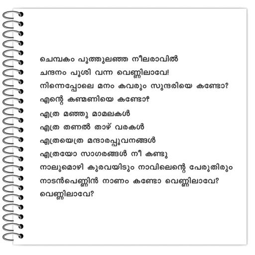 Picture of the product