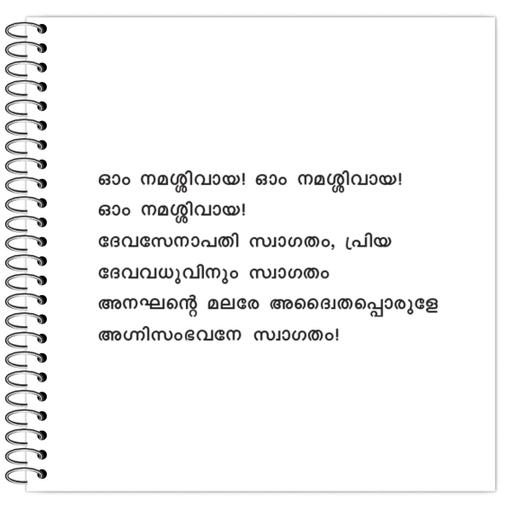 Picture of the product