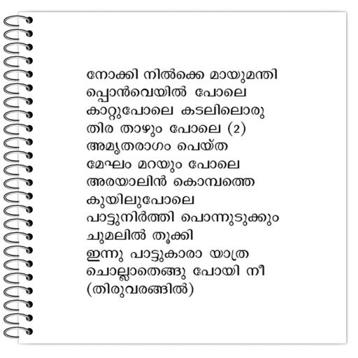 Picture of the product