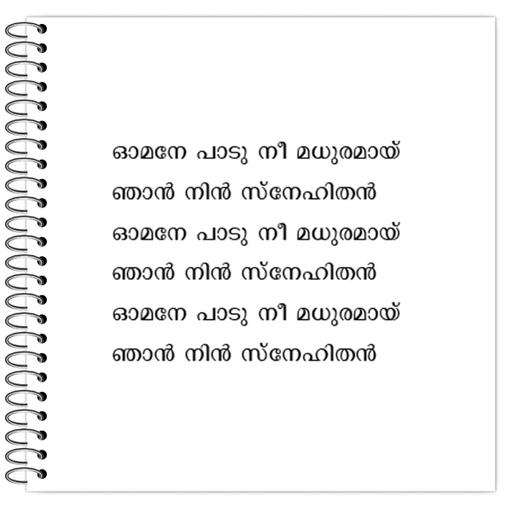 Picture of the product