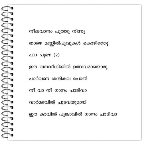 Picture of the product