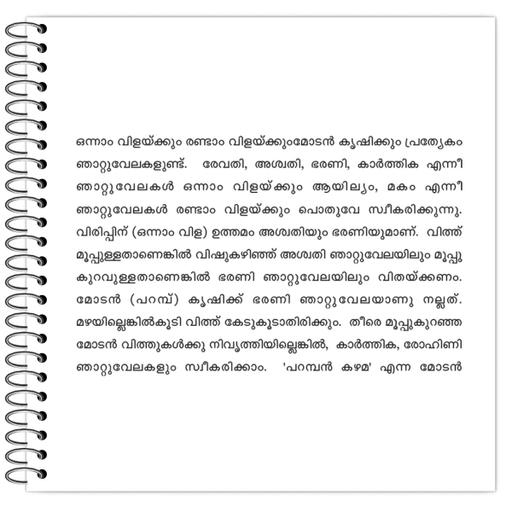 Picture of the product