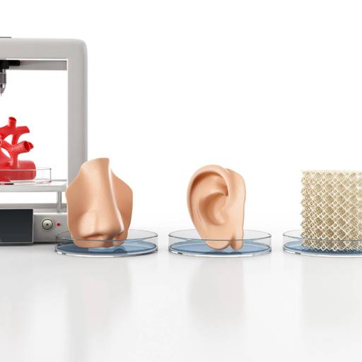 Picture of the product