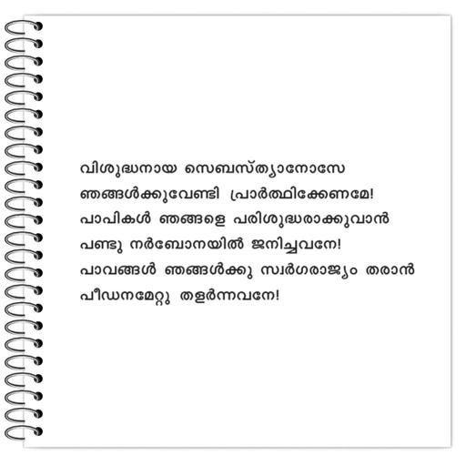 Picture of the product