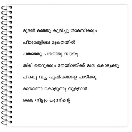 Picture of the product