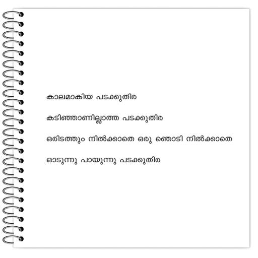 Picture of the product