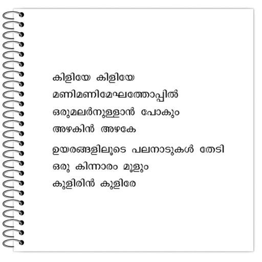 Picture of the product