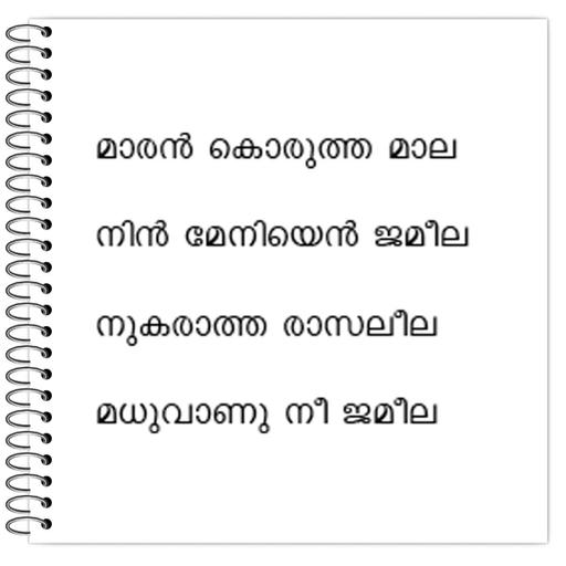 Picture of the product