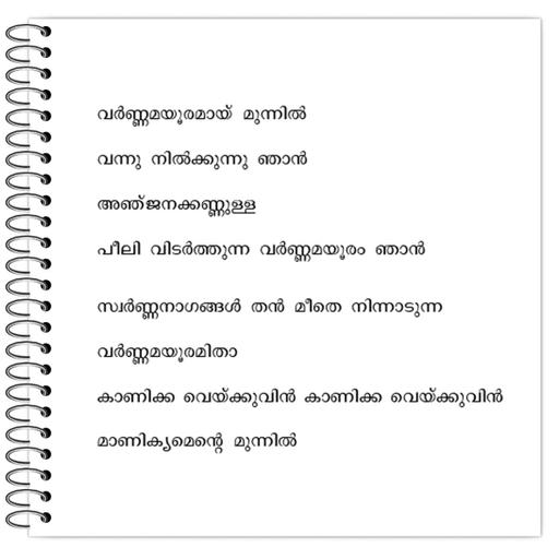 Picture of the product