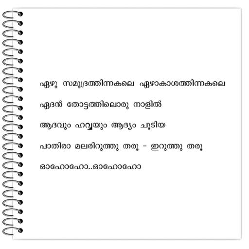 Picture of the product