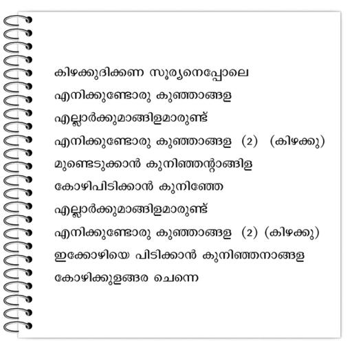 Picture of the product