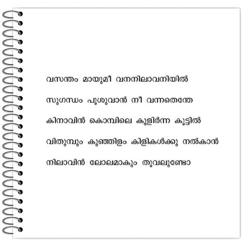 Picture of the product