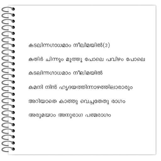 Picture of the product