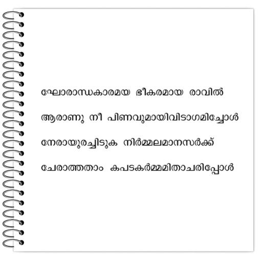 Picture of the product